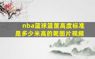 nba篮球篮筐高度标准是多少米高的呢图片视频