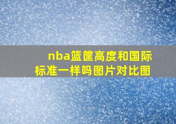 nba篮筐高度和国际标准一样吗图片对比图