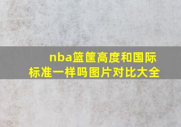 nba篮筐高度和国际标准一样吗图片对比大全