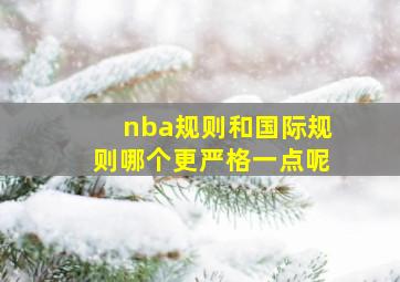 nba规则和国际规则哪个更严格一点呢