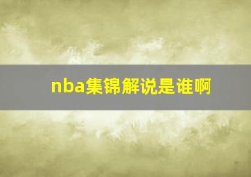 nba集锦解说是谁啊