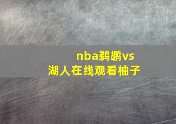 nba鹈鹕vs湖人在线观看柚子