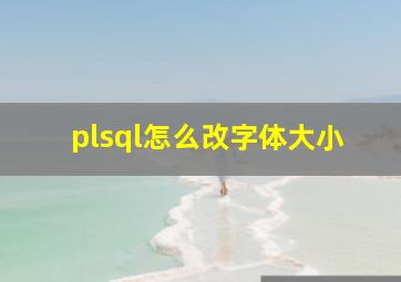 plsql怎么改字体大小