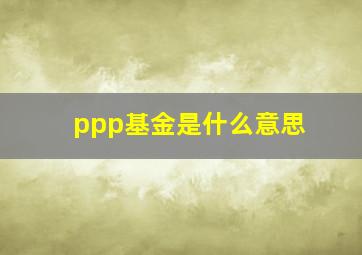 ppp基金是什么意思