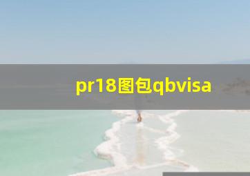 pr18图包qbvisa