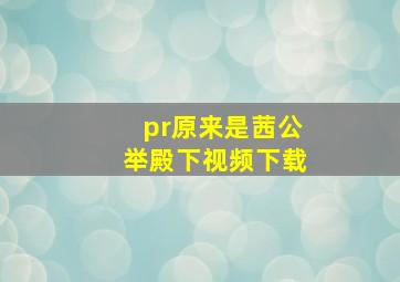 pr原来是茜公举殿下视频下载