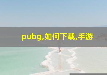 pubg,如何下载,手游