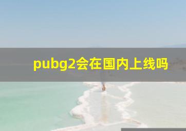 pubg2会在国内上线吗