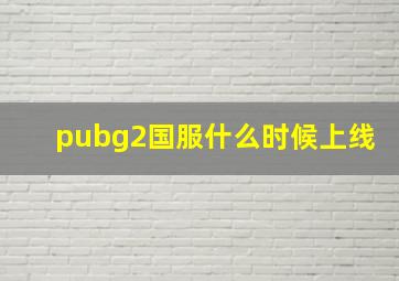 pubg2国服什么时候上线