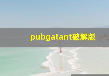 pubgatant破解版