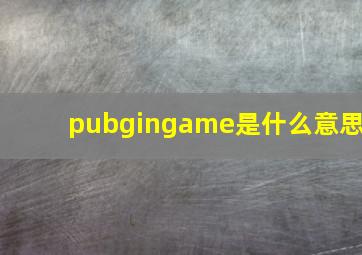 pubgingame是什么意思