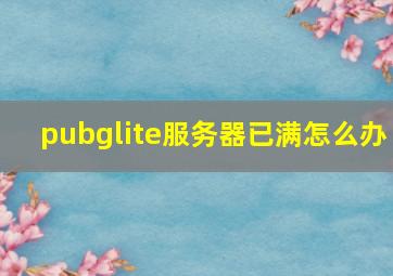 pubglite服务器已满怎么办