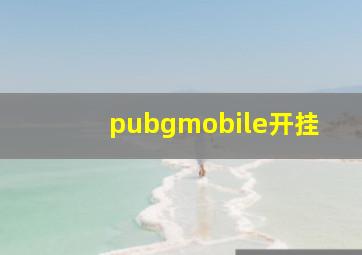 pubgmobile开挂