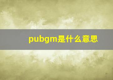 pubgm是什么意思