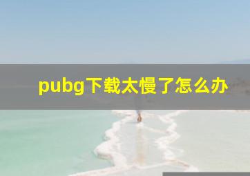 pubg下载太慢了怎么办