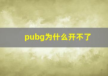 pubg为什么开不了