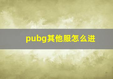 pubg其他服怎么进