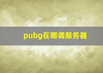 pubg在哪调服务器