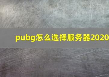 pubg怎么选择服务器2020