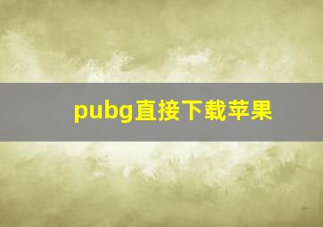 pubg直接下载苹果