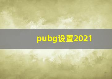 pubg设置2021