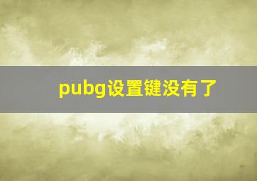 pubg设置键没有了