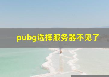 pubg选择服务器不见了