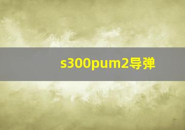 s300pum2导弹