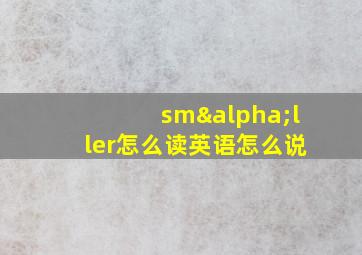 smαller怎么读英语怎么说