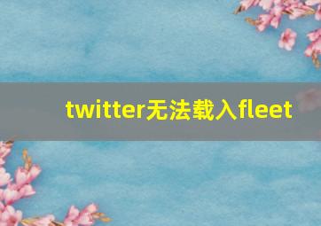 twitter无法载入fleet