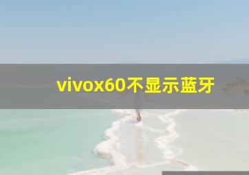 vivox60不显示蓝牙