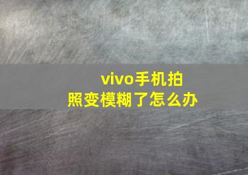 vivo手机拍照变模糊了怎么办