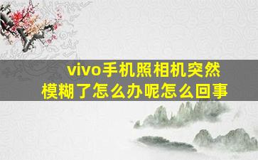 vivo手机照相机突然模糊了怎么办呢怎么回事