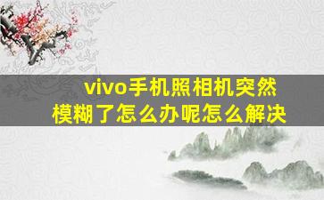 vivo手机照相机突然模糊了怎么办呢怎么解决