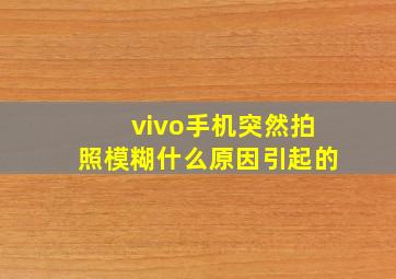 vivo手机突然拍照模糊什么原因引起的