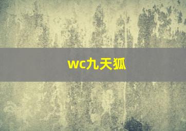 wc九天狐