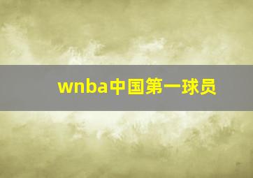 wnba中国第一球员