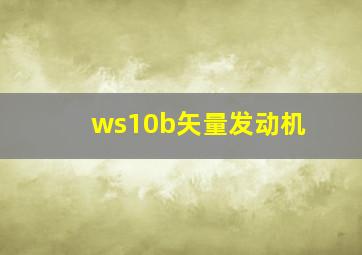 ws10b矢量发动机