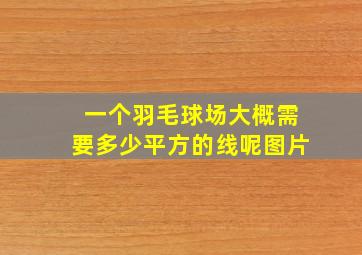 一个羽毛球场大概需要多少平方的线呢图片