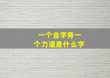 一个金字旁一个力道是什么字