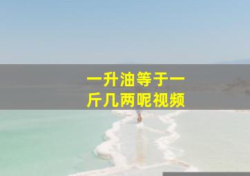 一升油等于一斤几两呢视频