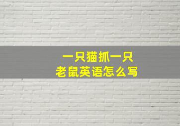 一只猫抓一只老鼠英语怎么写