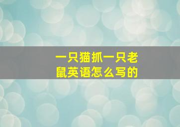 一只猫抓一只老鼠英语怎么写的