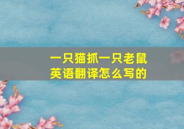 一只猫抓一只老鼠英语翻译怎么写的