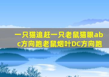 一只猫追赶一只老鼠猫眼abc方向跑老鼠烟叶DC方向跑