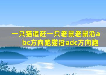 一只猫追赶一只老鼠老鼠沿abc方向跑猫沿adc方向跑