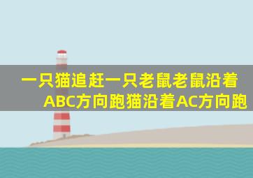 一只猫追赶一只老鼠老鼠沿着ABC方向跑猫沿着AC方向跑