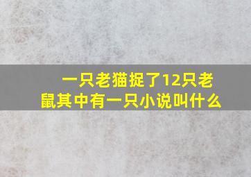 一只老猫捉了12只老鼠其中有一只小说叫什么