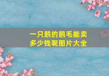 一只鹅的鹅毛能卖多少钱呢图片大全