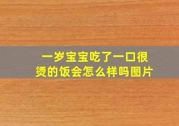 一岁宝宝吃了一口很烫的饭会怎么样吗图片